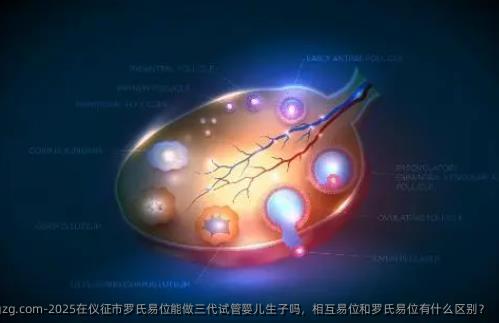 2025在仪征市罗氏易位能做三代试管婴儿生子吗，相互易位和罗氏易位有什么区别？
