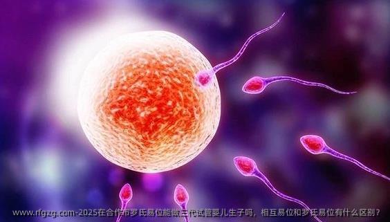 2025在合作市罗氏易位能做三代试管婴儿生子吗，相互易位和罗氏易位有什么区别？