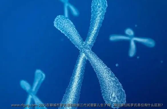2025在聊城市罗氏易位能做三代试管婴儿生子吗，相互易位和罗氏易位有什么区别？