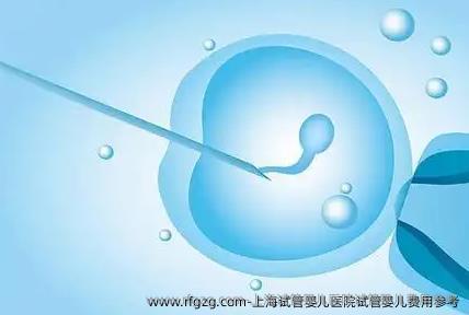 上海试管婴儿医院试管婴儿费用参考