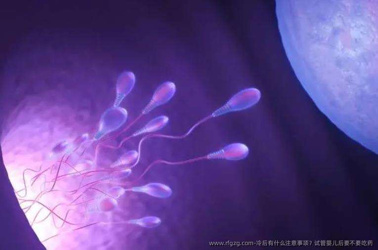 冷后有什么注意事项？试管婴儿后要不要吃药