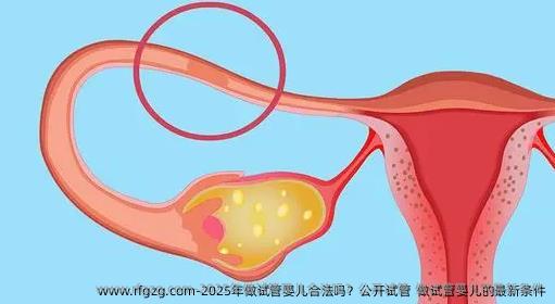 2025年做试管婴儿合法吗？公开试管  做试管婴儿的最新条件