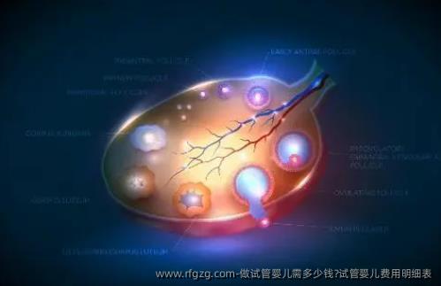 做试管婴儿需多少钱?试管婴儿费用明细表