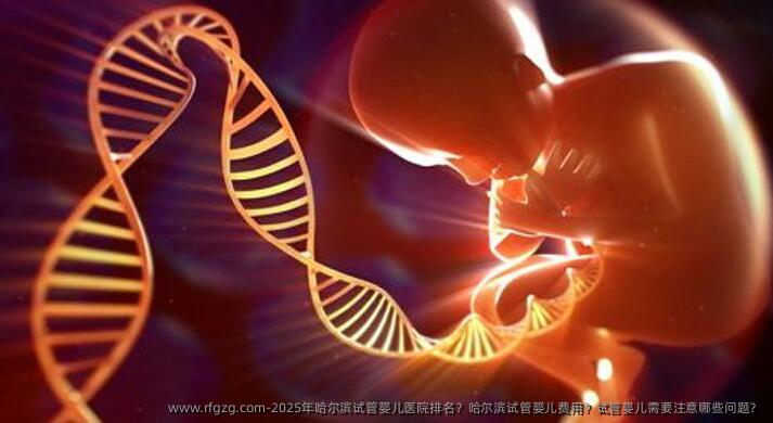 2025年哈尔滨试管婴儿医院排名？哈尔滨试管婴儿费用？试管婴儿需要注意哪些问题？