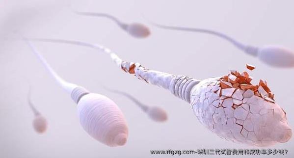 深圳三代试管费用和成功率多少钱？