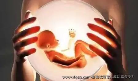 泰国试管婴儿成功率多少？