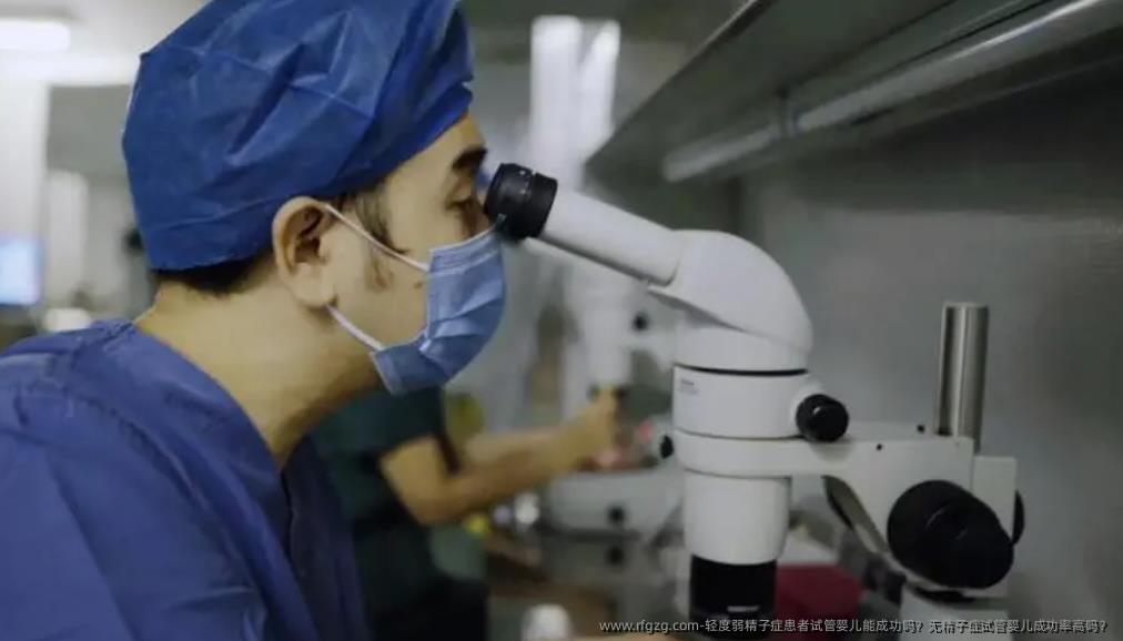 轻度弱精子症患者试管婴儿能成功吗？无精子症试管婴儿成功率高吗？