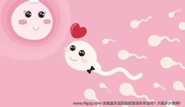 沈阳盛京医院做试管成功率如何？大概多少费用？