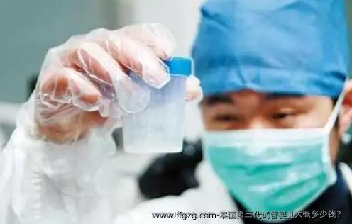 泰国第三代试管婴儿大概多少钱？