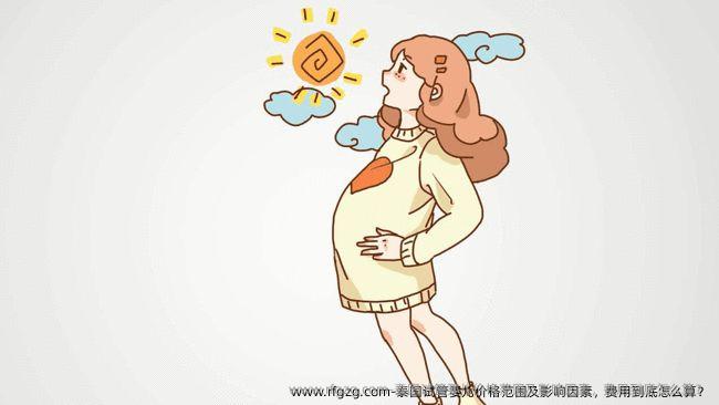 泰国试管婴儿价格范围及影响因素，费用到底怎么算？