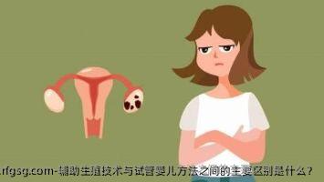 辅助生殖技术与试管婴儿方法之间的主要区别是什么？