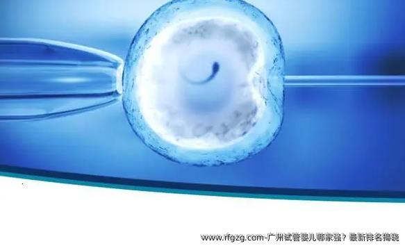 广州试管婴儿哪家强？最新排名揭晓