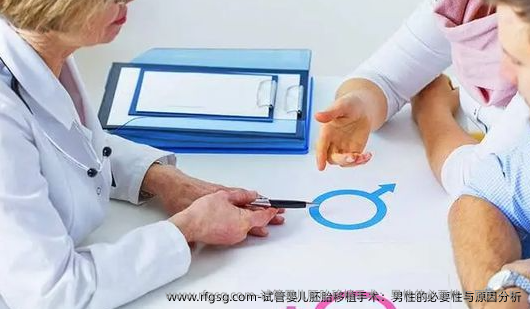 试管婴儿胚胎移植手术：男性的必要性与原因分析