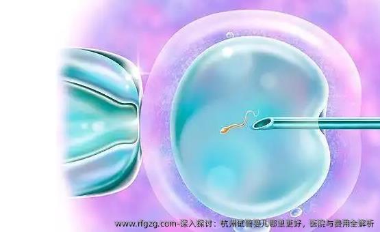 深入探讨：杭州试管婴儿哪里更好，医院与费用全解析