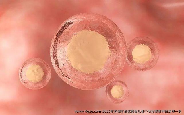 2025年芜湖市试试管婴儿各个阶段费用明细清单一览