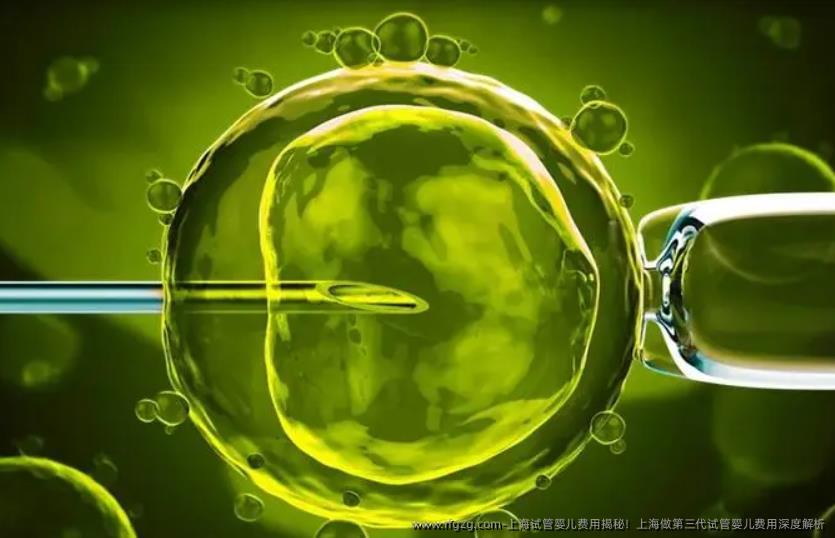 上海试管婴儿费用揭秘！上海做第三代试管婴儿费用深度解析