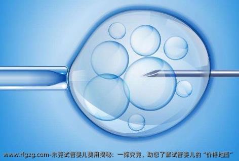 东莞试管婴儿费用揭秘：一探究竟，助您了解试管婴儿的“价格地图”