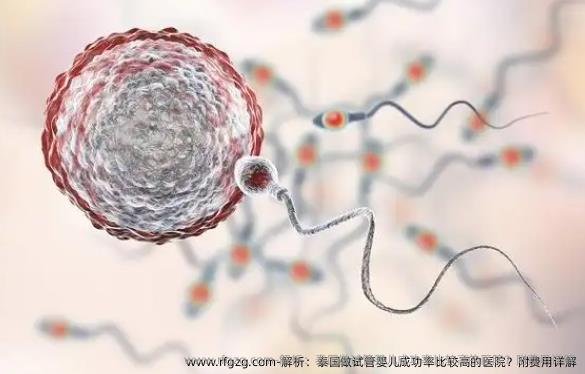 解析：泰国做试管婴儿成功率比较高的医院？附费用详解