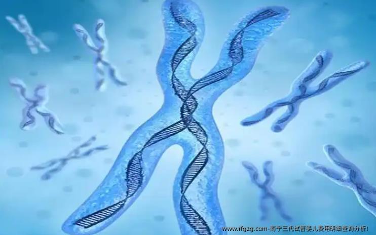 南宁三代试管婴儿费用明细查询分析！