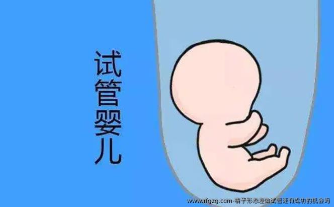 精子形态差做试管还有成功的机会吗