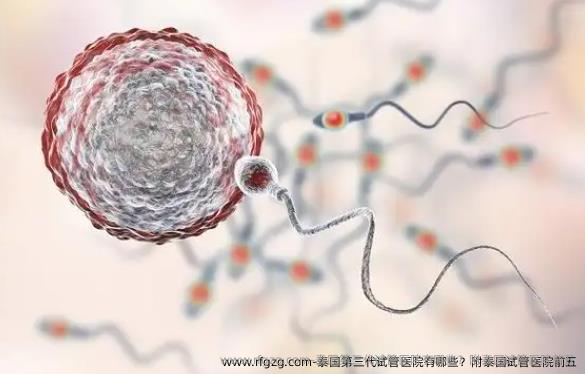 泰国第三代试管医院有哪些？附泰国试管医院前五