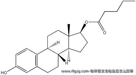 输卵管发生粘连是怎么回事？