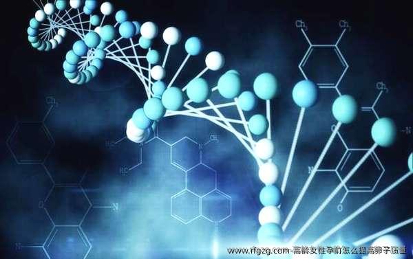 高龄女性孕前怎么提高卵子质量？帮助高龄女性在孕前做好充分准备有哪些