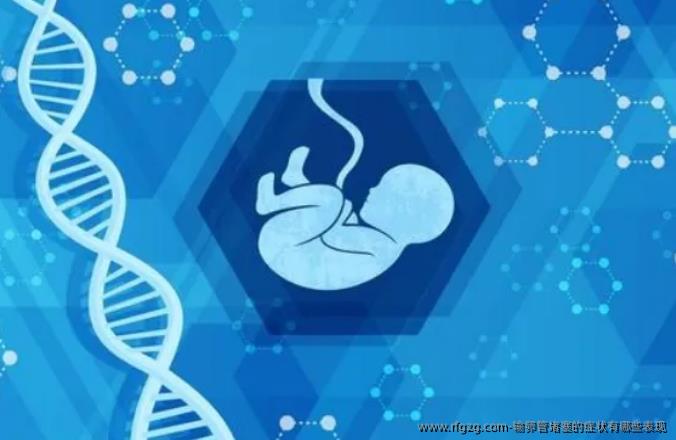输卵管堵塞的症状有哪些表现？