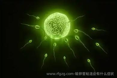 输卵管粘连会有什么症状？了解其症状和早期表现