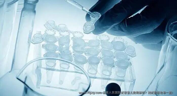 云南人民医院试管婴儿费用解析？附试管成功率一览！