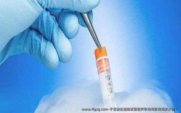 子宫腺肌症做试管能怀孕吗有影响吗多少钱？