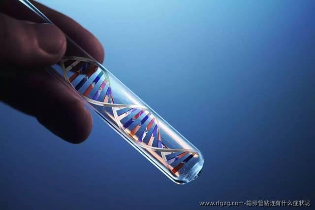 输卵管粘连有什么症状呢?输卵管粘连的症状表现
