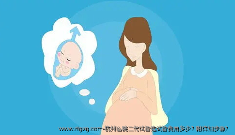 杭州医院三代试管选试管费用多少？附详细步骤？