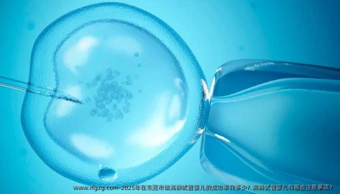 2025年在东莞市做高龄试管婴儿的成功率有多少？高龄试管婴儿有哪些注意事项？