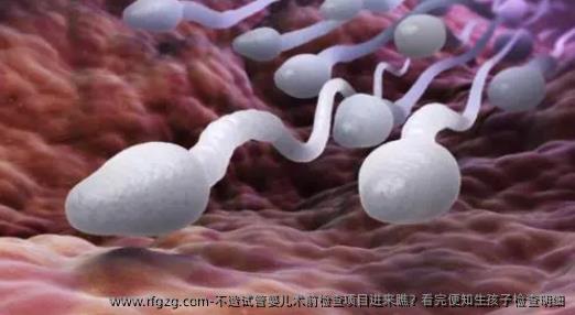 不造试管婴儿术前检查项目进来瞧？看完便知生孩子检查明细