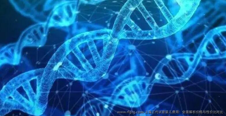 上海三代试管婴儿费用：全面解析价格与性价比对比