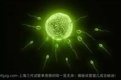 上海三代试管单周期时间一览无余！揭秘试管婴儿成功秘诀！