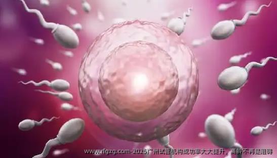2025广州试管机构成功率大大提升，高龄不再是阻碍