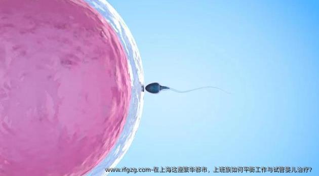 在上海这座繁华都市，上班族如何平衡工作与试管婴儿治疗？