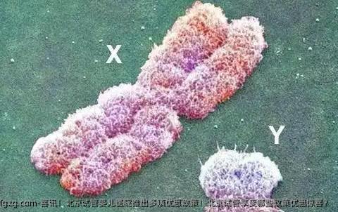 喜讯！北京试管婴儿医院推出多项优惠政策！北京试管享受哪些政策优惠惊喜？