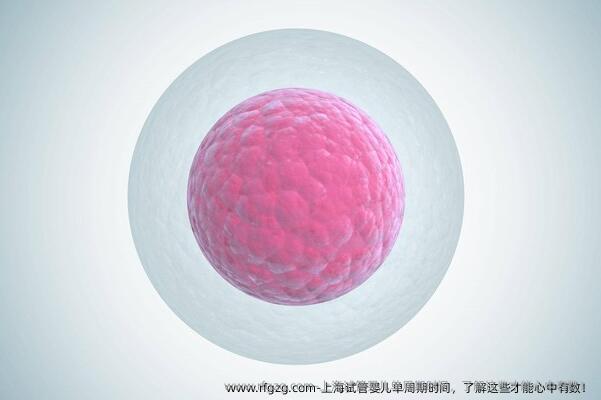 上海试管婴儿单周期时间，了解这些才能心中有数！
