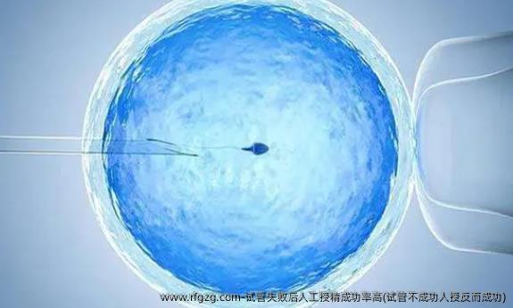 试管失败后人工授精成功率高(试管不成功人授反而成功)
