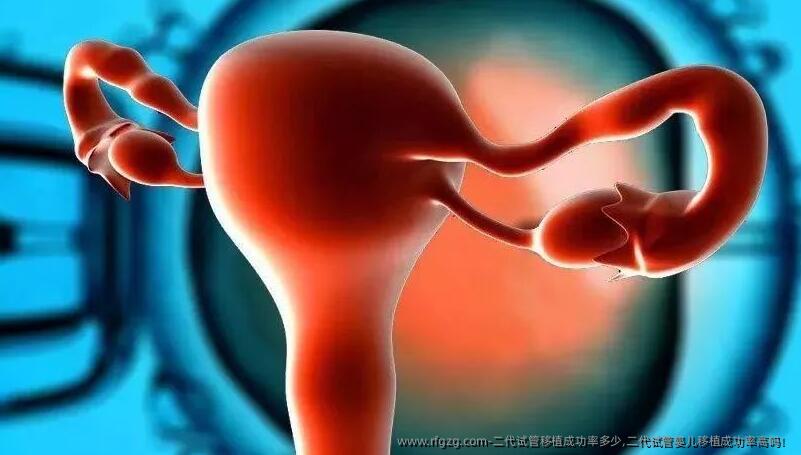 二代试管移植成功率多少,二代试管婴儿移植成功率高吗！