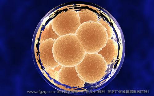 湛江做试管第三代要多少钱呀！在湛江做试管哪家医院好！