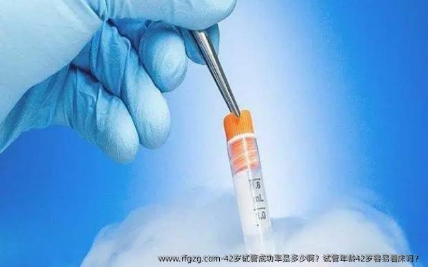 42岁试管成功率是多少啊？试管年龄42岁容易着床吗？