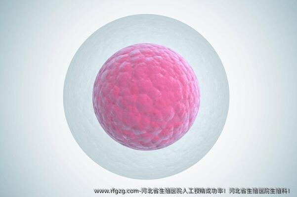 河北省生殖医院人工授精成功率！河北省生殖医院生殖科！