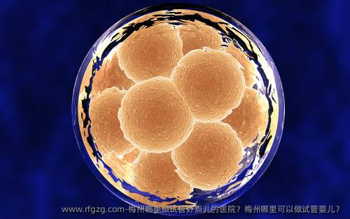 梅州哪里做试管好点儿的医院？梅州哪里可以做试管婴儿？