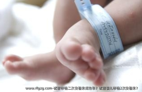 试管移植二次没着床成功率？试管婴儿移植2次没着床？