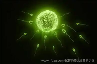 试管的婴儿做要多少钱