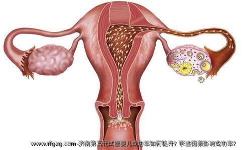 济南第三代试管婴儿成功率如何提升？哪些因素影响成功率？